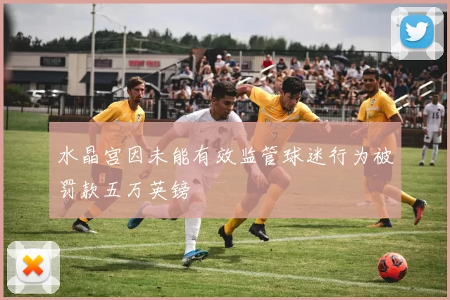 水晶宫因未能有效监管球迷行为被罚款五万英镑